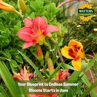 Top 10 Gardener the Ultimate Garden Blueprint with Ken & Lisa artwork