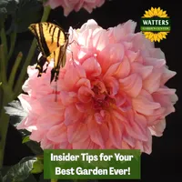 Top 10 Gardener the Ultimate Garden Blueprint with Ken & Lisa artwork