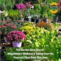Top 10 Gardener the Ultimate Garden Blueprint with Ken & Lisa artwork