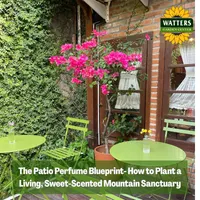 Top 10 Gardener the Ultimate Garden Blueprint with Ken & Lisa artwork