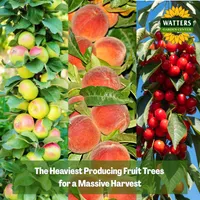 Top 10 Gardener the Ultimate Garden Blueprint with Ken & Lisa artwork