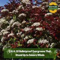Top 10 Gardener the Ultimate Garden Blueprint with Ken & Lisa artwork