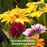 Top 10 Gardener the Ultimate Garden Blueprint with Ken & Lisa artwork