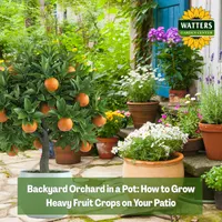 Top 10 Gardener the Ultimate Garden Blueprint with Ken & Lisa artwork