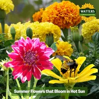 Top 10 Gardener the Ultimate Garden Blueprint with Ken & Lisa artwork