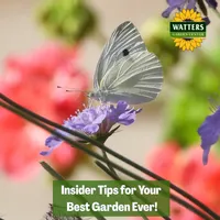 Top 10 Gardener the Ultimate Garden Blueprint with Ken & Lisa artwork