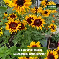 Top 10 Gardener the Ultimate Garden Blueprint with Ken & Lisa artwork