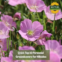 Top 10 Gardener the Ultimate Garden Blueprint with Ken & Lisa artwork