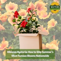Top 10 Gardener the Ultimate Garden Blueprint with Ken & Lisa artwork