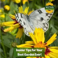 Top 10 Gardener the Ultimate Garden Blueprint with Ken & Lisa artwork