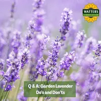 Top 10 Gardener the Ultimate Garden Blueprint with Ken & Lisa artwork