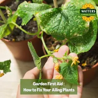 Top 10 Gardener the Ultimate Garden Blueprint with Ken & Lisa artwork