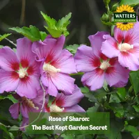 Top 10 Gardener the Ultimate Garden Blueprint with Ken & Lisa artwork