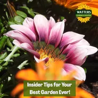 Top 10 Gardener the Ultimate Garden Blueprint with Ken & Lisa artwork