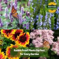 Top 10 Gardener the Ultimate Garden Blueprint with Ken & Lisa artwork