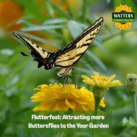 Top 10 Gardener the Ultimate Garden Blueprint with Ken & Lisa artwork