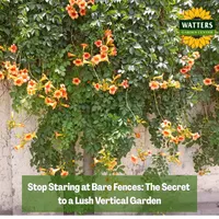 Top 10 Gardener the Ultimate Garden Blueprint with Ken & Lisa artwork