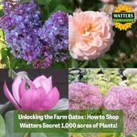 Top 10 Gardener the Ultimate Garden Blueprint with Ken & Lisa artwork