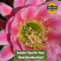 Top 10 Gardener the Ultimate Garden Blueprint with Ken & Lisa artwork