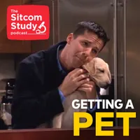 The Sitcom Study artwork