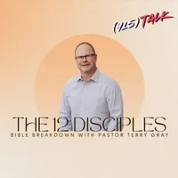 (915) TALK artwork