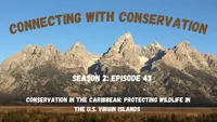 Connecting with Conservation artwork