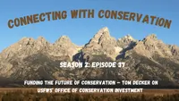 Connecting with Conservation artwork