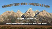 Connecting with Conservation artwork