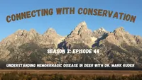 Connecting with Conservation artwork
