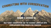 Connecting with Conservation artwork