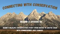 Connecting with Conservation artwork