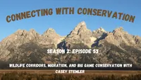 Connecting with Conservation artwork