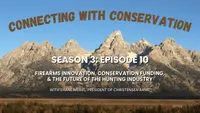 Connecting with Conservation artwork