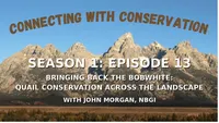 Connecting with Conservation artwork