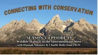 Connecting with Conservation artwork