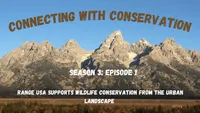 Connecting with Conservation artwork