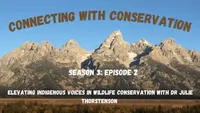 Connecting with Conservation artwork