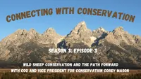 Connecting with Conservation artwork