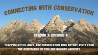 Connecting with Conservation artwork