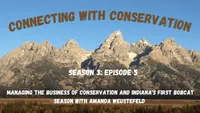 Connecting with Conservation artwork