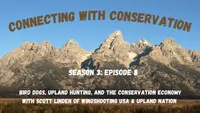 Connecting with Conservation artwork