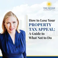 Devine Intervention: Shedding Light on Illinois Property Tax artwork
