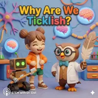 STEM with Dr. Owl artwork