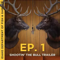 Shootin’ the Bull artwork