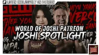 Talk Joshi artwork