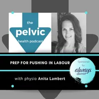 The Pelvic Health Podcast artwork