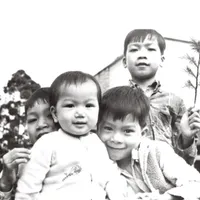 The Vietnamese Boat People artwork