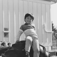 The Vietnamese Boat People artwork