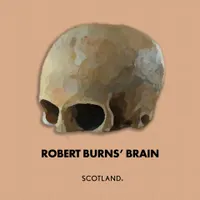 Scottish History Out of Order artwork