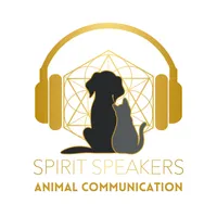Spirit Speakers artwork